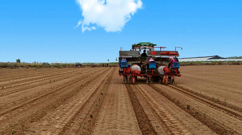 新型能源公司:创值增盈激活力,一季度营收利润创新高