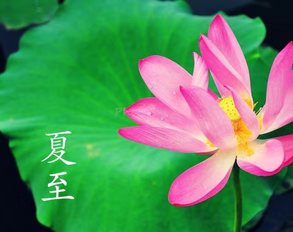 微信图片_20240621184110.jpg 微信图片_20240621184110.jpg